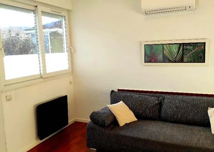 Guynemer 3 Pieces De Vie - - Terrasse- Clim Toulouse